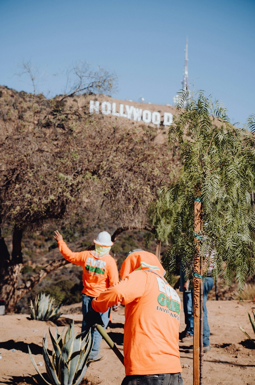 mayor at hollywood event